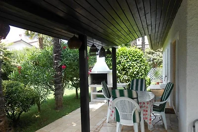 Palma 1