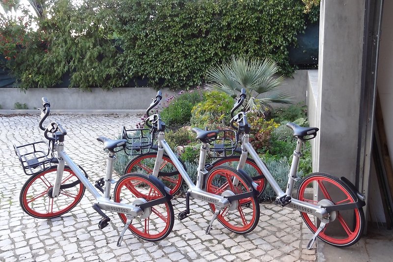 8 Fahrräder können von Mietern benutzt werden