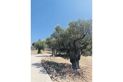 Villa AKA