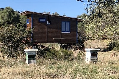 Tiny House Marteddu