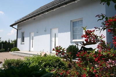 House Alka in Kolczewo
