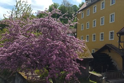 Ferienwohnung Heumann Eichig