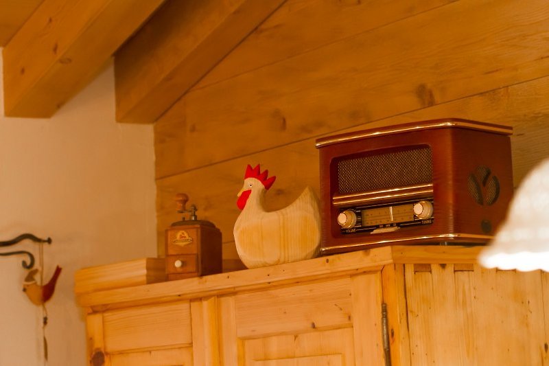 schönes altes Radio im Hühnerstall