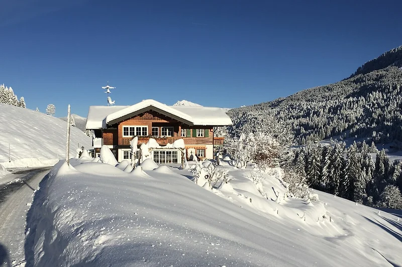 Winterliches Haus Narzisse mit viel Schnee