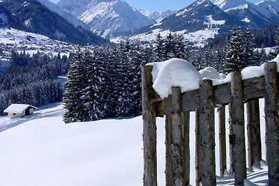 App. Nebelhorn im Haus Narzisse