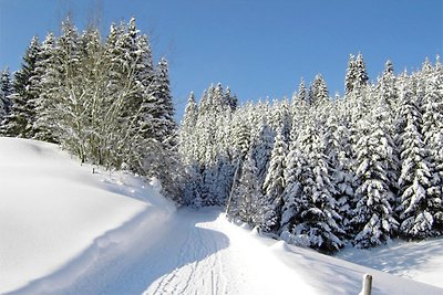 App. Fellhorn im Haus Narzisse