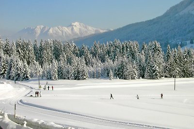 App. Fellhorn im Haus Narzisse