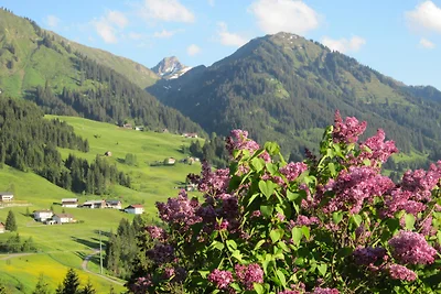 App. Fellhorn im Haus Narzisse