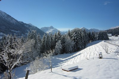 App. Fellhorn im Haus Narzisse