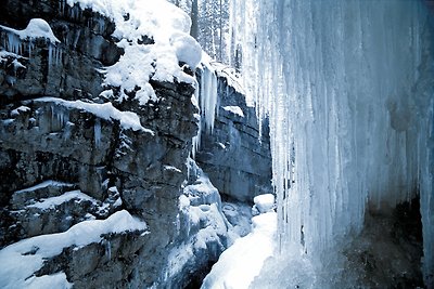 App. Fellhorn im Haus Narzisse