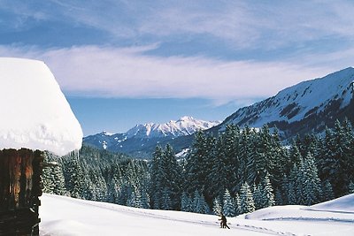 App. Nebelhorn im Haus Narzisse