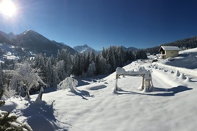Haus Narzisse App. Widderstein