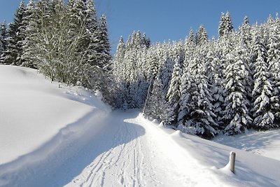 App. Nebelhorn im Haus Narzisse