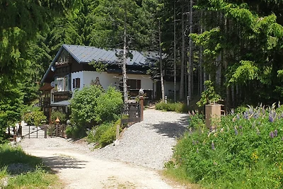 Alm´ Ferienhaus Gaisegg am Klippitz