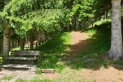 Alm´ Ferienhaus Gaisegg am Klippitz