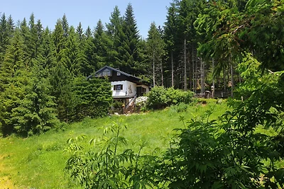 Alm´ Ferienhaus Gaisegg am Klippitz
