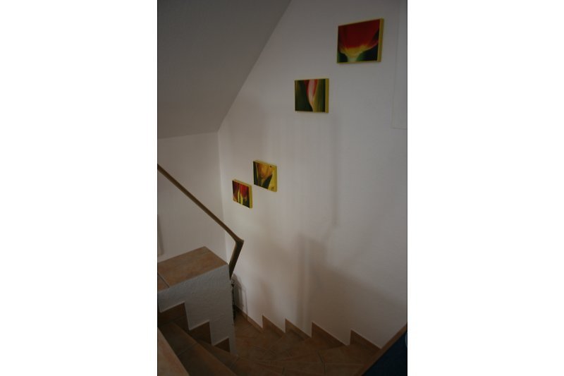 Staircase from the studio room