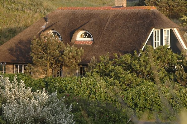 Vakantiehuis Buren