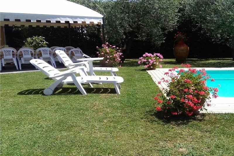 Schöner Garten mit Blumen, Pflanzen und Outdoor-Möbeln.