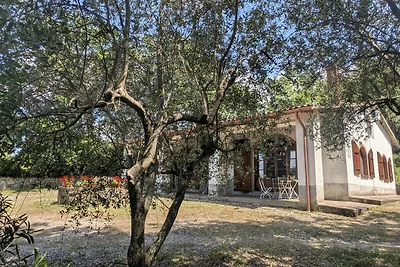 Ferienhaus mit eigenem Pool