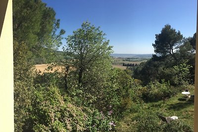 Pinienwald, Natur, Ruhe und Idylle