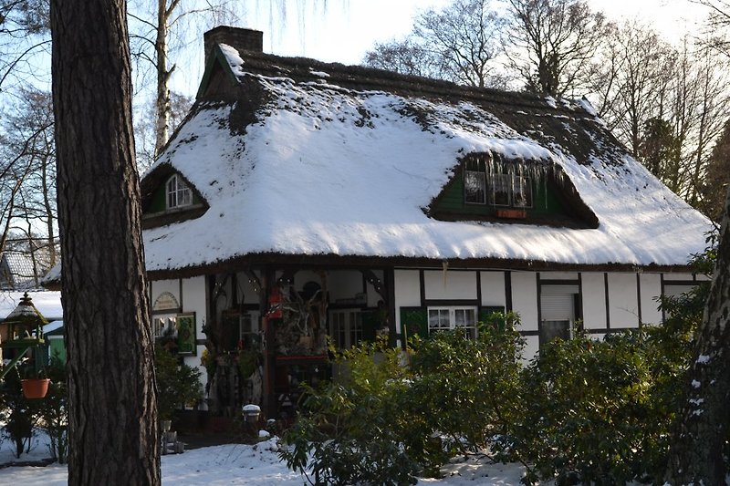 Altes Haus im Winter