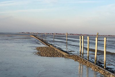 Oasi di spiaggia