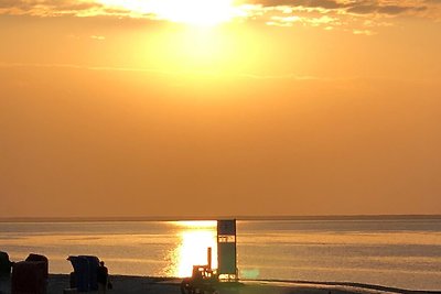 Oasi di spiaggia