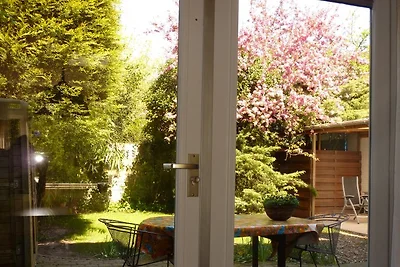 Casa Holl Idea