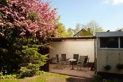 Casa Holl Idea