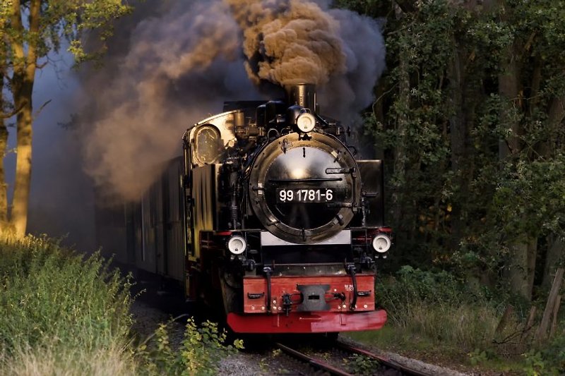 der rasende Roland