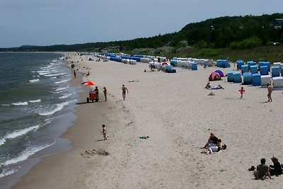 Ferienwohnung Zaunkönig, Zinnowitz