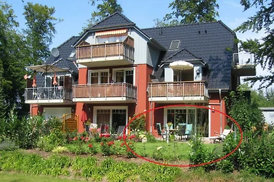 Appartamento vacanze Gabbiano reale