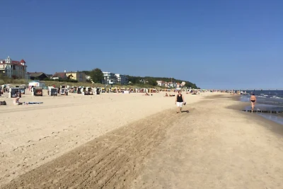 Appartamento vacanze Gabbiano reale