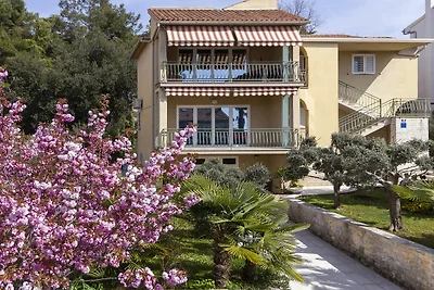 Apartment Saša in Porec