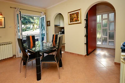 Apartment Saša