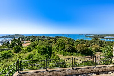 Villa Carla- Istrian Stone Villa with Sea...