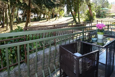 Apartment Saša