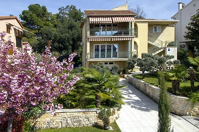 Apartment Saša in Porec