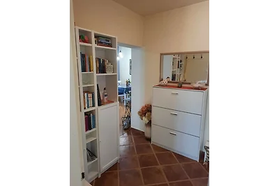 Premium apartment Sunny