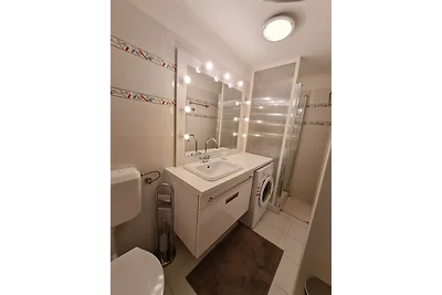 Apartment Erna in Porec, Istria