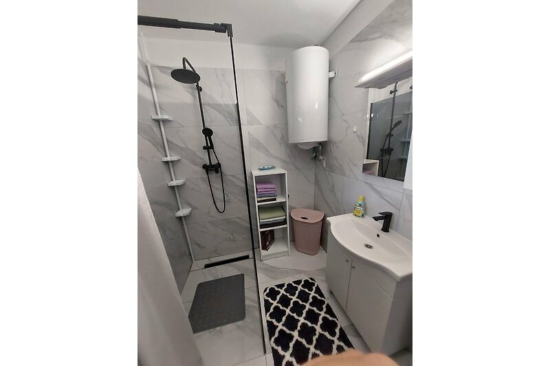 Opremljena kupaonica s modernim tušem i umivaonikom. App. br. 2
