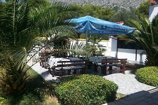 Apartments Sandra in Dalmatien