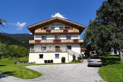 Apartment Zillertal