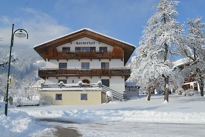 Vakantieappartement Gezinsvakantie Kaltenbach