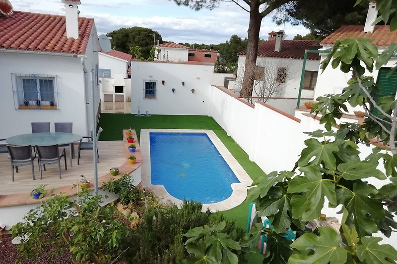 Schwimmbad mit Blick auf grünen Garten und modernes Gebäude.