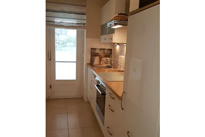 5* Gabbiano argentato (MöwenNest Scharbeutz)