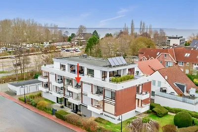 Seemöwe (MöwenNest Scharbeutz)