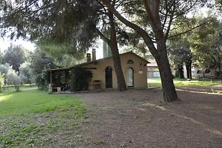 Ferienanlage Casale il Poggetto
