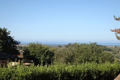 Bella Vista